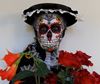 Picture of SugarVeil Catrina Mat